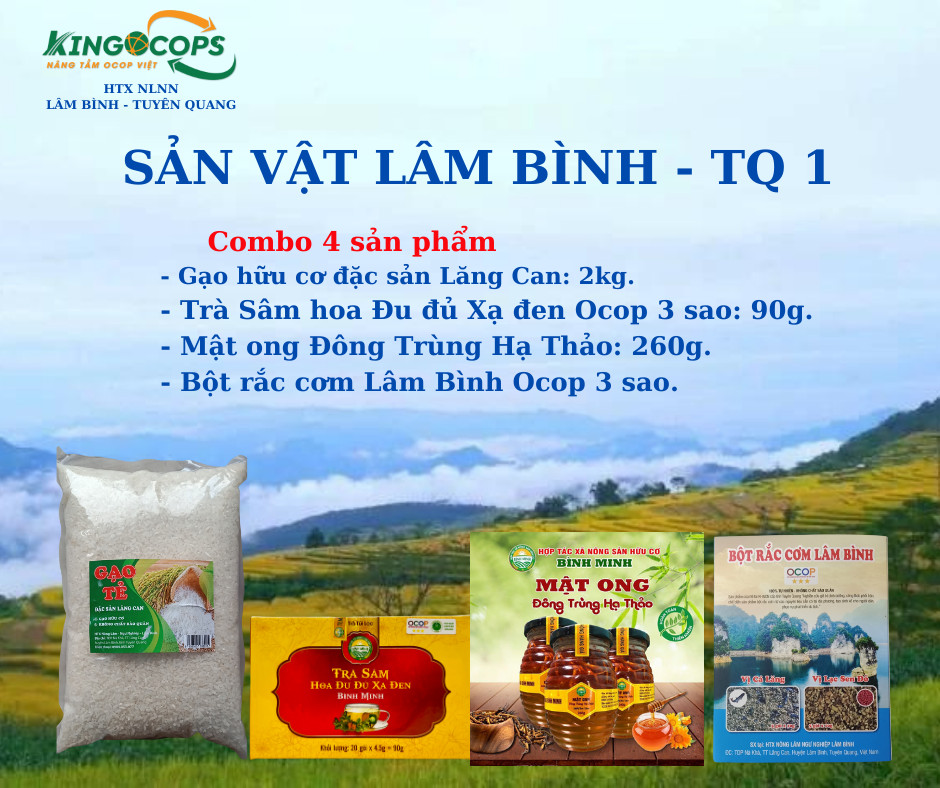 COMBO SẢN VẬT LÂM BÌNH TQ 1